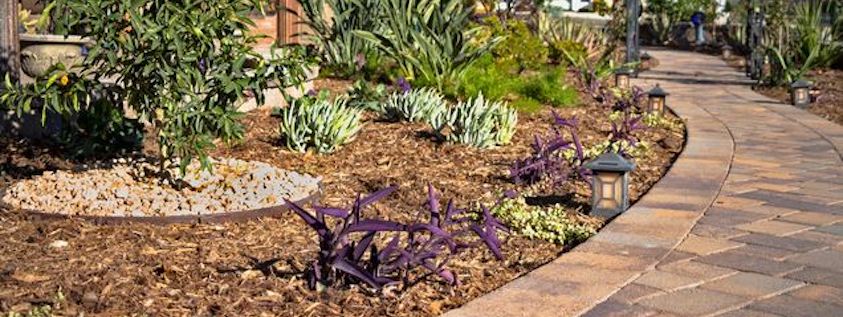 drought-tolerant-landscape