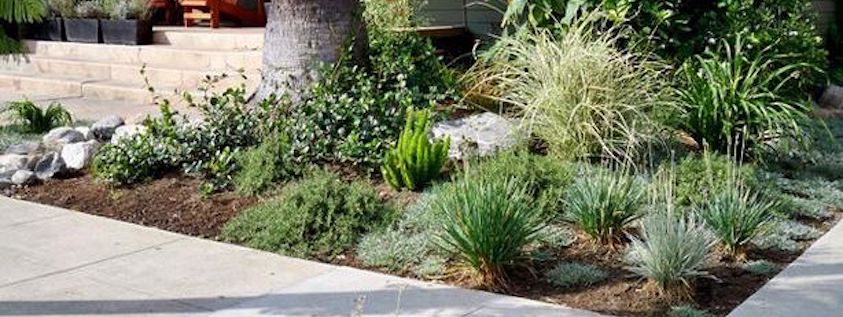 current landscaping trends long image