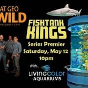 natgeo wild fish tank kings
