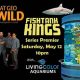 natgeo wild fish tank kings
