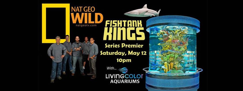 natgeo wild fish tank kings
