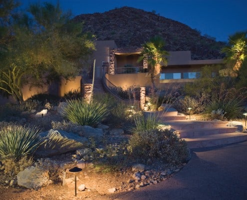 Drought Resistant Landscape with Lit Walkway