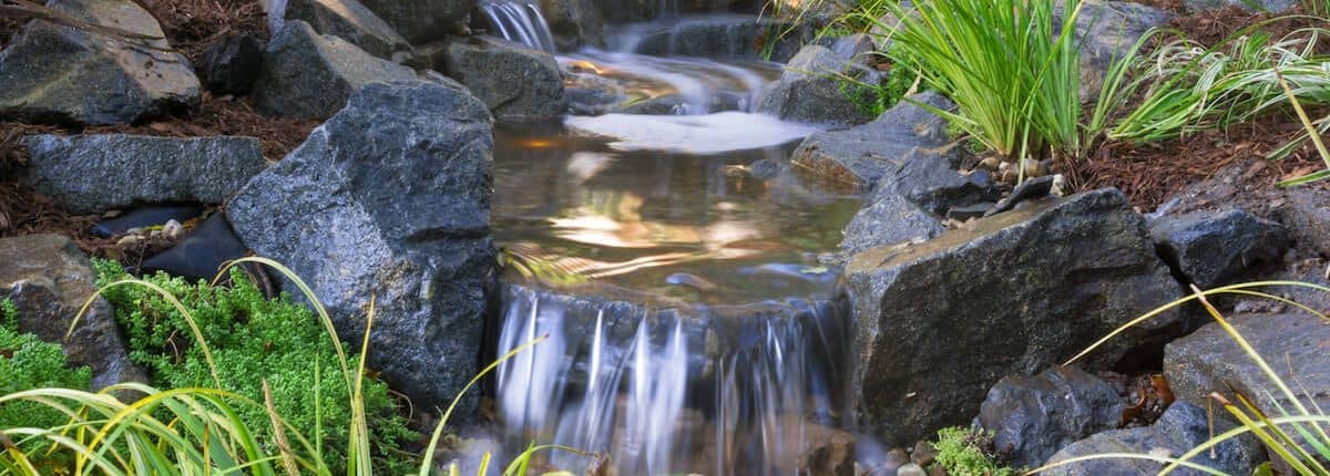 Custom Backyard Pond with Landscaping