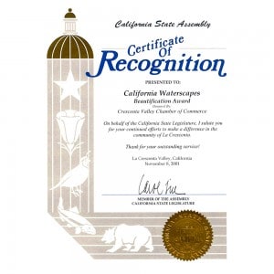 CSA Awards Certificate