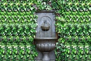 Fountain Water Surrounded by Green Plants