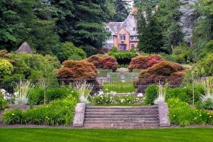 English Greenery Garden