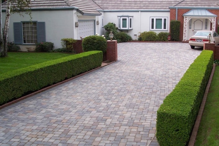 Paving Stone Driveway Flanked by Hedges