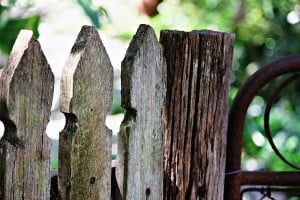 Rustic Fence