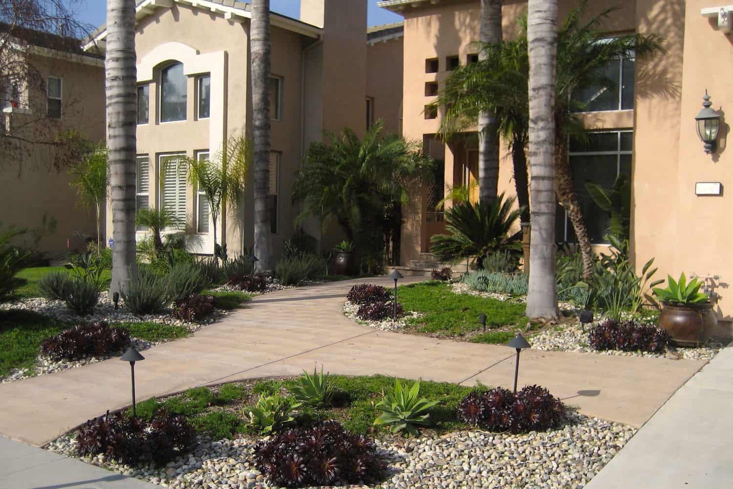 Drought Tolerant Plant Garden Design with Trees and LED Lights