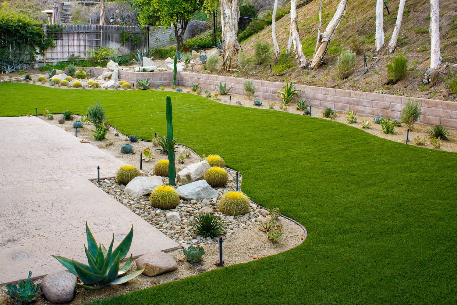 Drought Tolerant Plant Garden Design