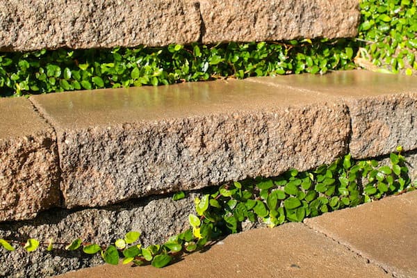 Stone steps