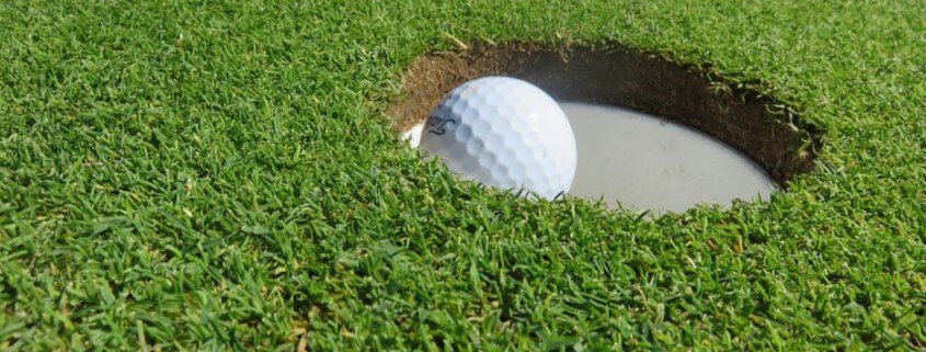 Backyard Putting Green