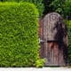 Privacy Hedge landscaping design for outdoor