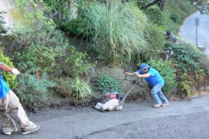 Driveway Landscaping Installation 1