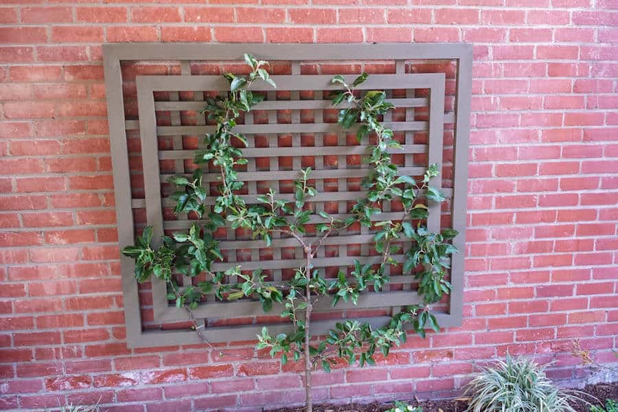 Traditional Simple Geometr