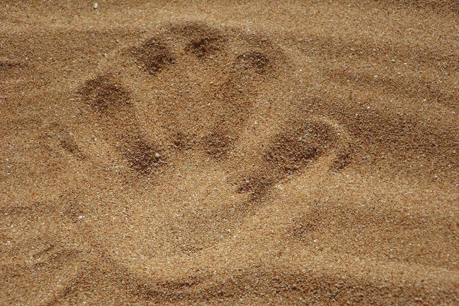 zen sand for landsccaping design