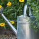 garden water pitcher with sunflower design