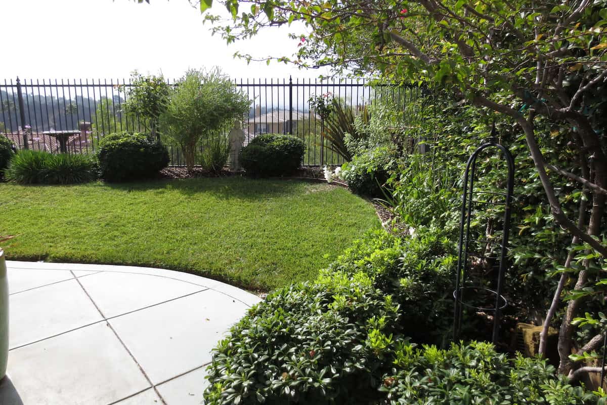 Before-Olsen Getty 1