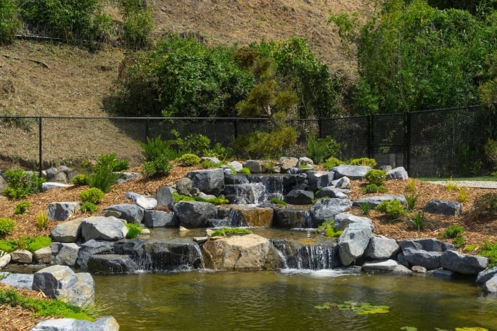 large backyard pond and waterfall