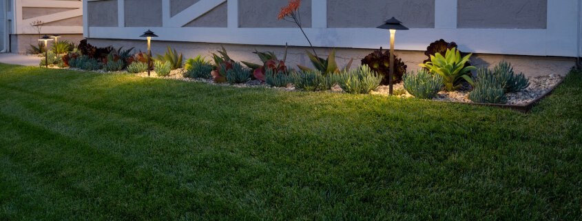 Lawn and Lawn Lights