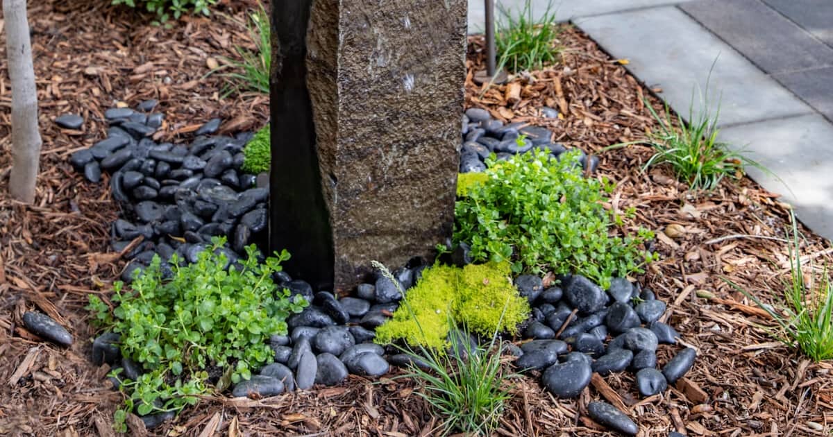 Garden with fresh mulch design