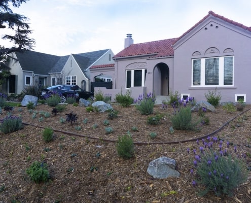 Newly Installed Landscaping