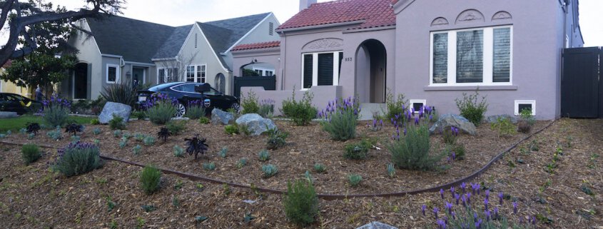 Newly Installed Landscaping