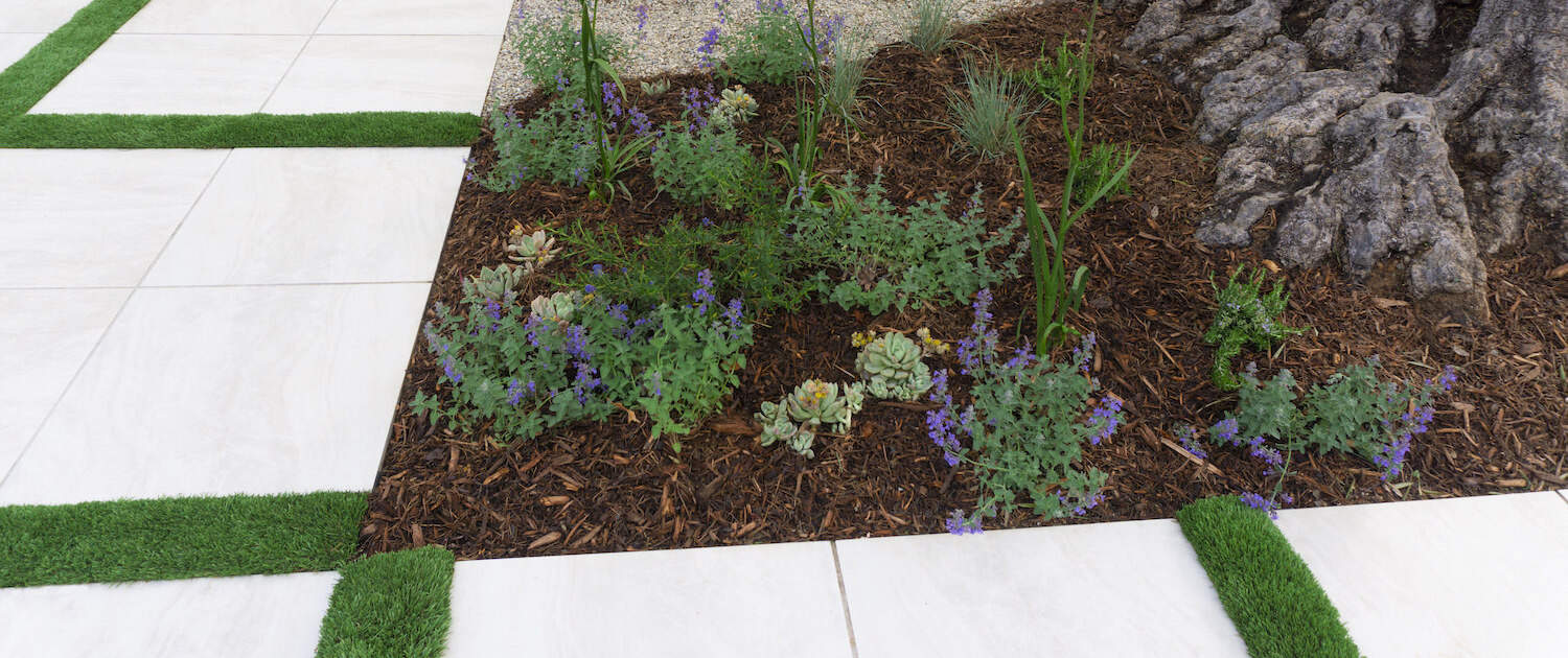 mulching with plants on the side of the tree